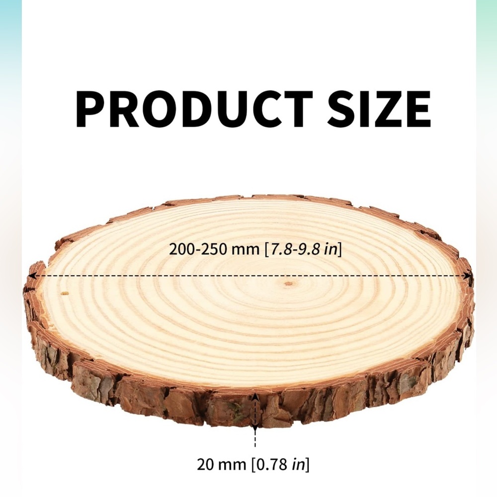 12pc Wood Slices